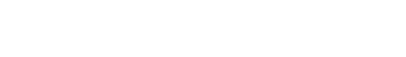 MEET THE TEAM