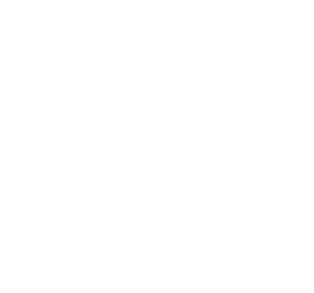 154 PUBLIC SECTOR ORGANISATIONS