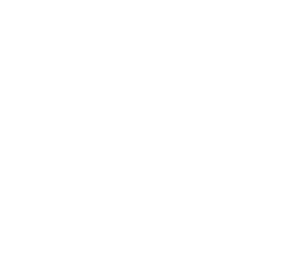 Three members of the team are currently engaged in Chartered Institute of Purchasing and Supply (CIPS) qualifications