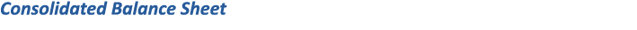 Consolidated Balance Sheet