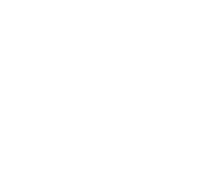 Single brand website providing a one-stop procurement shop