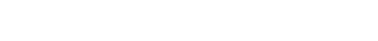 ANNUAL REPORT 