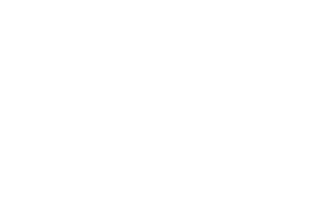 The total number of engagements target for the year was set at 1,239 engagements, the team more than doubled this num...
